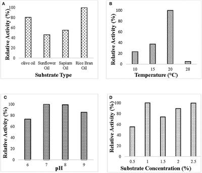 lipase optimum temperature